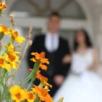 فیلمبرداری وعکاسی مجالس|خدمات پذیرایی، مراسم|مشکین‌دشت, |دیوار