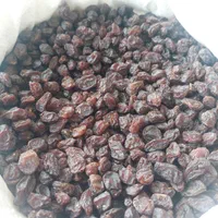 عمده فروشی مویز و کشمش خرما شیره استان فارس|عمده‌فروشی|شیراز, میانرود|دیوار