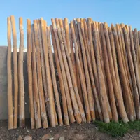 خریدار انواع چوب چنار و چوب خشک و باغات میوه|خدمات باغبانی و درختکاری|اسلام‌‌آباد غرب, |دیوار