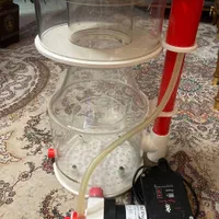 اسکیمر بابل کینگ