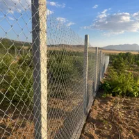 باغ کشاورزی هزار متری مارکده|فروش دفتر صنعتی، کشاورزی، تجاری|اصفهان, تیران|دیوار