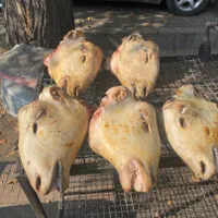 پخش کله پاچه گوسفندی