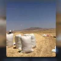 کارگر کاه و یونجه