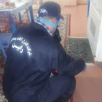 سمپاشی و کنترل افات بهداشتی ( سوسک ساس ...|خدمات نظافت|گرگان, |دیوار