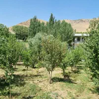 اجاره باغ ویلا|اجارهٔ کوتاه‌مدت ویلا و باغ|نهاوند, |دیوار
