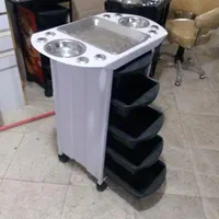 ترالی|آرایشگاه و سالن‌های زیبایی|سنندج, |دیوار