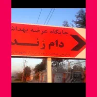 گوسفند زنده شهرداری ارسال تلفنی به سراسرتهران|حیوانات مزرعه|تهران, آذری|دیوار