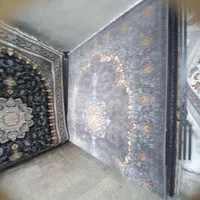 فرش |فرش|زاهدان, |دیوار