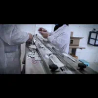 کارخانه بسته بندی موادغذایی-خط تولید فعال|فروش دفتر صنعتی، کشاورزی، تجاری|تهران, الهیه|دیوار