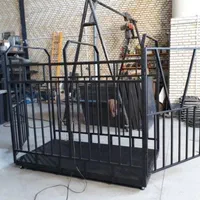 باسکول سنگین یک تنی،، دامکش، گوساله کش