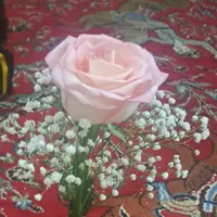 اگه هدیه طلامیخوای عجله کن