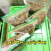 میلورم زنده و خشک/عمده/جزئی/سوپرورم/سبد و کود|خزنده|قم, باسکول|دیوار