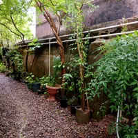 اجاره ویلا جاده آبشار آب پری (130مترمربع)|اجارهٔ کوتاه‌مدت آپارتمان و سوئیت|نوشهر, |دیوار