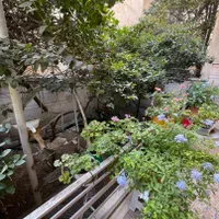 ۱۷۳متر کلنگی ویلایی قابل سکونت ظفر|فروش زمین و ملک کلنگی|تهران, زرگنده|دیوار