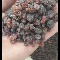کشمش آفتابی درجه یک|خوردنی و آشامیدنی|تهران, سلسبیل جنوبی|دیوار