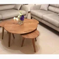 جلو مبلی و عسلی راشین