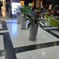 تعویض خاک،رسیدگی،نگهداری،بازدید،کاشت