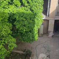 فروش منزل سنتی ۲۰۰ متری ۱۰ خوابه|فروش خانه و ویلا|شیراز, بازار|دیوار