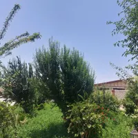 اجاره باغ ویلا استخر سرپوشیده ابگرم کد سبزینه|اجارهٔ کوتاه‌مدت ویلا و باغ|اصفهان, ارغوانیه|دیوار