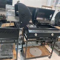 باربیکیو رو گاردن باربیکیو گازی زغالی کباب پز