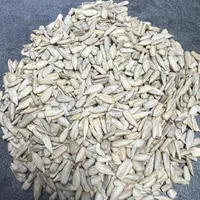 مغز تخمه آفتابگردان شمشیری و روغنی سالم و شکسته