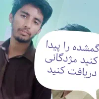 گم شده پیدا کنید مژدگانی دریافت کنید|اشیا|تهران, یافت آباد شمالی|دیوار