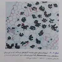 تدریس زیست شناسی به صورت تخصصی|خدمات آموزشی|اردبیل, |دیوار