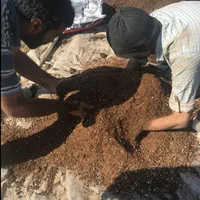 خاک.   باغچه  و  فلاورباکس  گلدان|خدمات باغبانی و درختکاری|تهران, تهرانسر شرقی|دیوار
