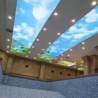 سقف کشسان، لابل،باریسول،کناف ،استخر|مصالح و تجهیزات ساختمان|شیراز, بعثت|دیوار