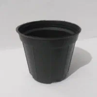 گلدان پلاستیکی گلخانه ای|گل و گیاه طبیعی|اندیشه, اندیشه فاز ۵|دیوار