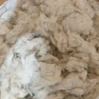 حراج تشک وبالشت|حراج|اصفهان, بابوکان|دیوار