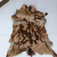 گلیم قالیچه دستباف ترکمن و پوست گوسفند