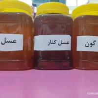 عسل ۱۰۰٪ طبیعی گون بهاره و کنار پاییزه|خوردنی و آشامیدنی|اصفهان, وحید|دیوار