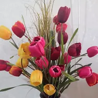 گل لاله