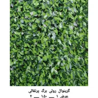 فنس برگ پرتقالی فنس برگ ریحون سنگ  ریسه آکاردئون