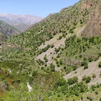 سوییت دوخوابه ی ویوی رو به جنگل وکوه شهرستان پاوه|اجارهٔ کوتاه‌مدت آپارتمان و سوئیت|پاوه, |دیوار