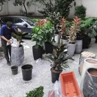 خدمات باغبانی متخصص گل منزل کودهی تعویض خاک گلدان|خدمات باغبانی و درختکاری|تهران, ونک|دیوار