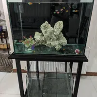 آکواریوم ریملس آب شور و شیرین ۱۲میل