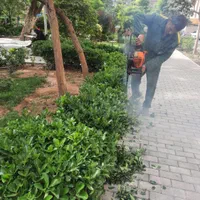 خدمات باغبانی و گیاه پزشکی گل و گیاه و مشاوره|خدمات باغبانی و درختکاری|تهران, کوثر|دیوار