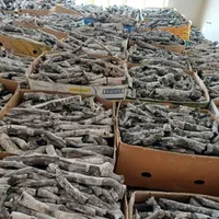 زغال سفید قلم درجه یک چوب پسته|عمده‌فروشی|مشهد, عبادی|دیوار