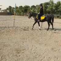 آموزش سوار کاری در مکانی بی نظیر