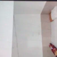 مشهد الرضا