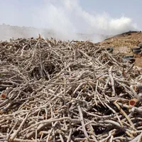 زغال سفید قلم درجه یک چوب پسته|عمده‌فروشی|مشهد, عبادی|دیوار