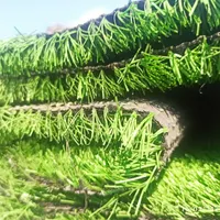 چمن نواری.فنس برگی .گرینوال فنس|خدمات باغبانی و درختکاری|تهران, صالح‌آباد شرقی|دیوار