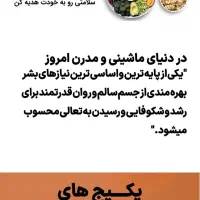 واگذاری سایت رژیم درمانی|خدمات رایانه‌ای و موبایل|تهران, قلهک|دیوار
