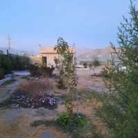گلخانه ۳۰۰۰ متر مربعی در مجتمع گلخانه ای|فروش دفتر صنعتی، کشاورزی، تجاری|کرمانشاه, |دیوار