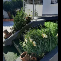 ویلای شیک و دنج در نزدیکی تالاب زیبای سوستان|اجارهٔ کوتاه‌مدت ویلا و باغ|لاهیجان, لیل|دیوار