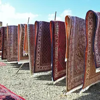 جشنواره قالیشویی مبل شویی یاقوت یزد
