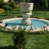 اجاره ویلا دوبلکس استخر جکوزی دار در تهرانسر|اجارهٔ کوتاه‌مدت ویلا و باغ|تهران, تهرانسر شرقی|دیوار