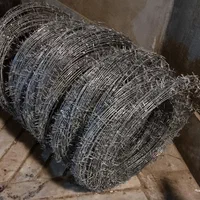 سیم خاردار گابیون نرده فنس حصار توری زیر گچی حفاظ|عمدهفروشی|مشهد, ارشاد|دیوار